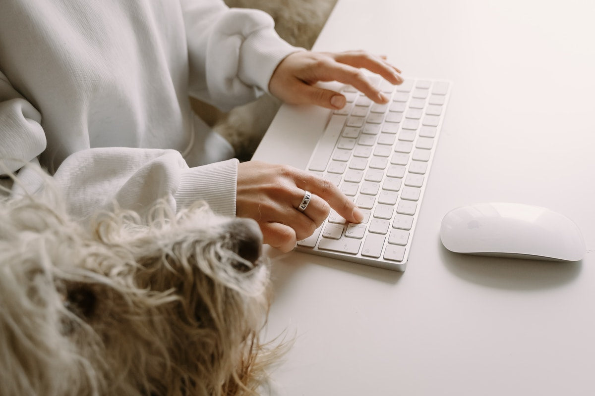 Dog and human on computer