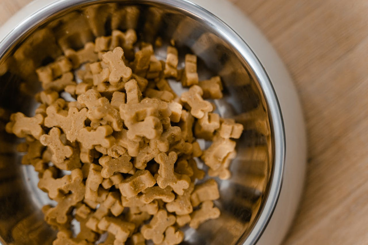 Proper Pet Food Storage Keep Your Pet's Food Fresh and Safe Neater Pets