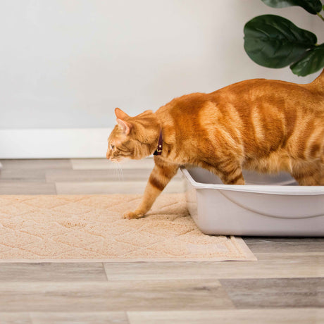 A cat stepping out of a litter box onto our Neater Mat Litter Trapping Mat