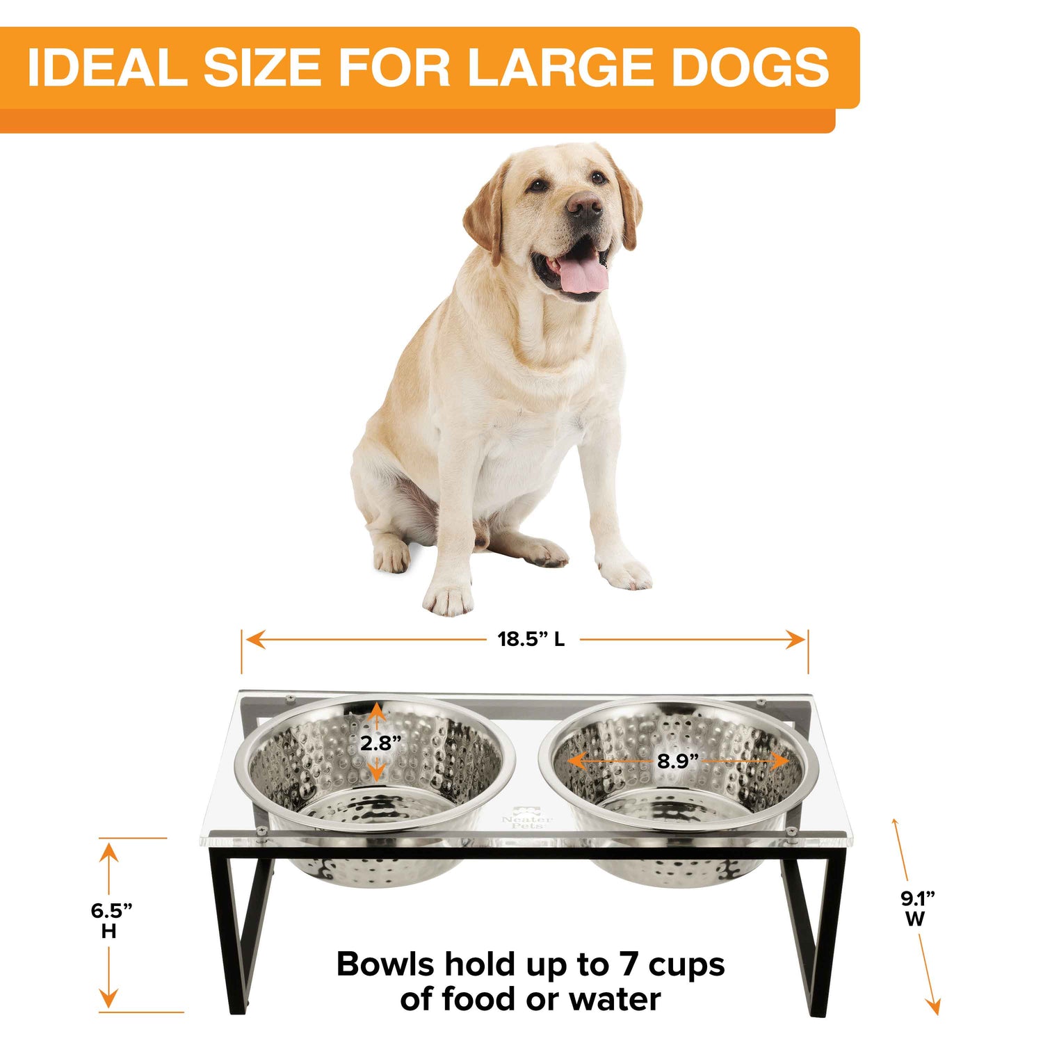 A large-sized dog is seated behind the large acrylic feeder, displaying the dimensions. Text on screen reads: Ideal size for large dogs.