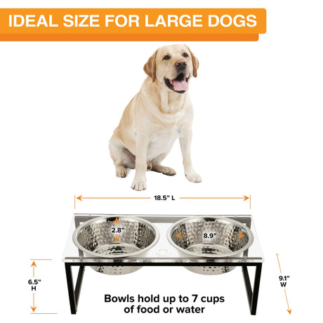 A large-sized dog is seated behind the large acrylic feeder, displaying the dimensions. Text on screen reads: Ideal size for large dogs.