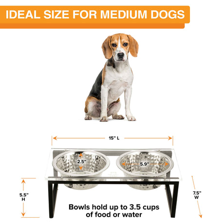 A medium-sized dog is seated behind the medium acrylic feeder, displaying the dimensions. Text on screen reads: Ideal size for medium dogs.