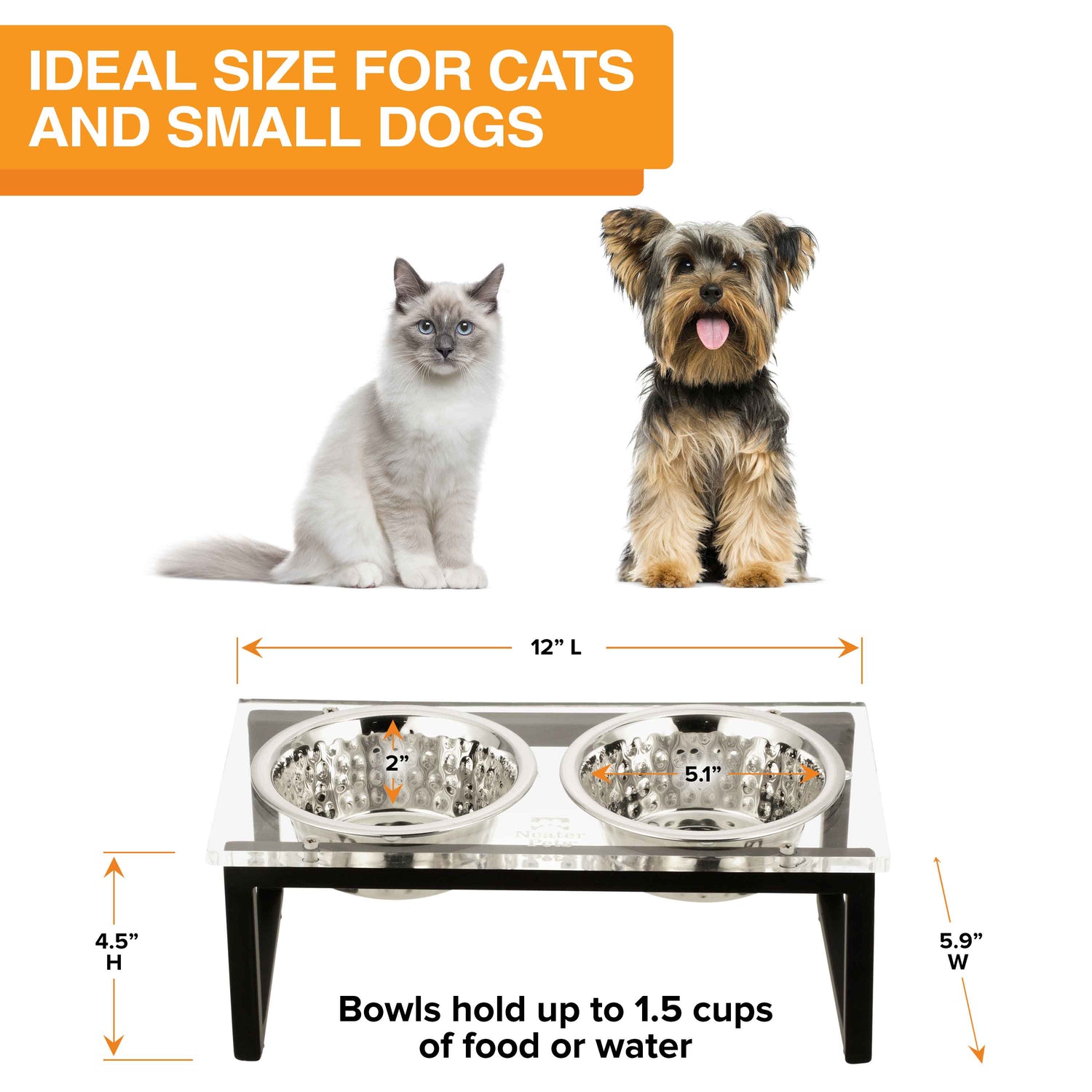 A cat and a small dog are seated behind the small acrylic feeder, displaying the dimensions. Text on screen reads: Ideal size for carts and small dogs.