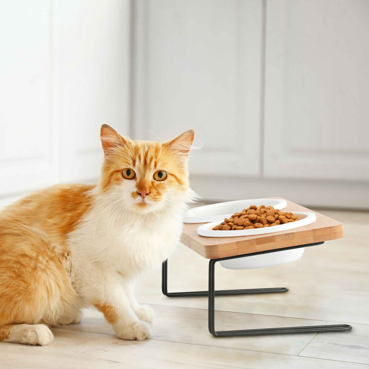 Lifestyle image of cat eating at feeder in a kitchen setting.