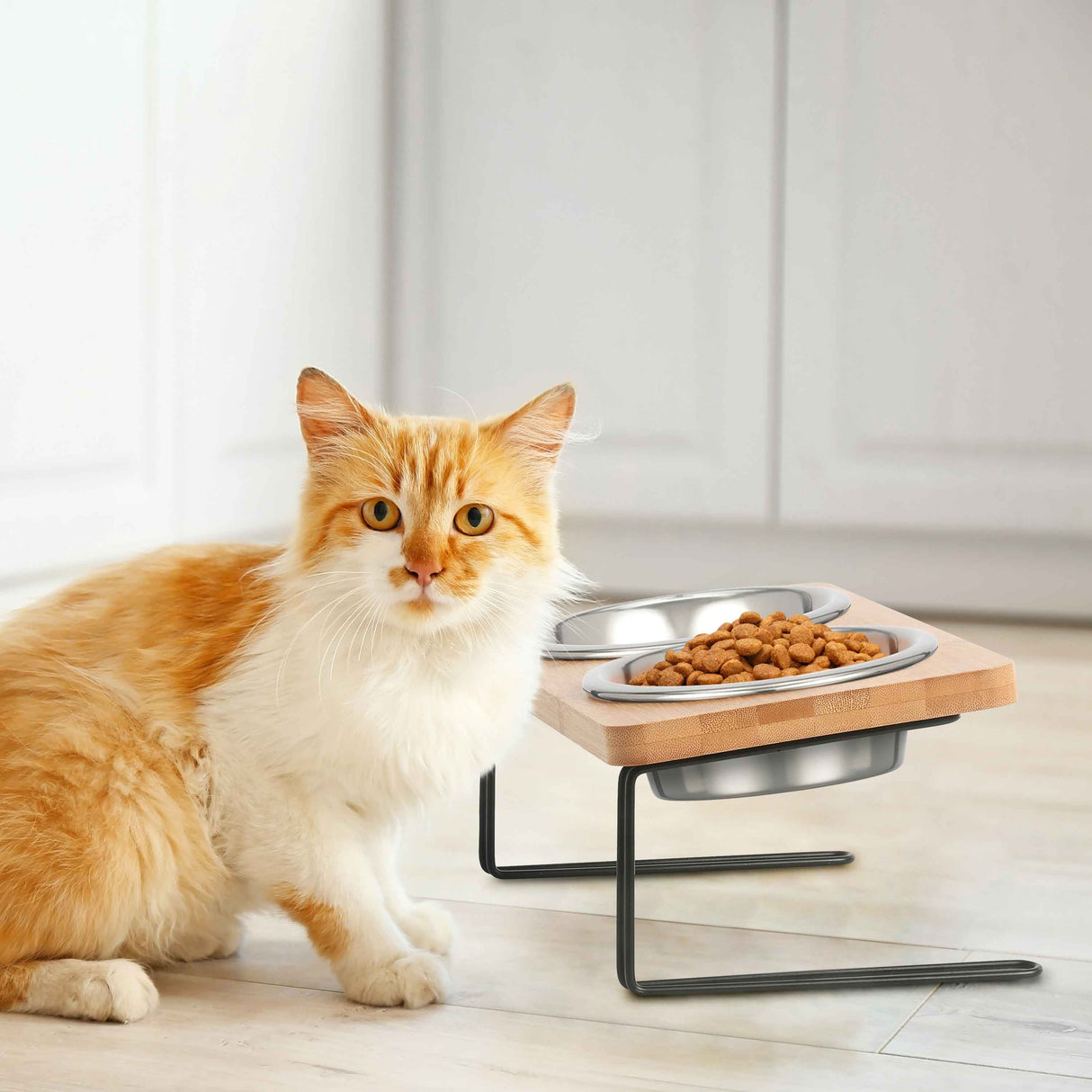 Lifestyle image of cat eating at feeder in a kitchen setting.