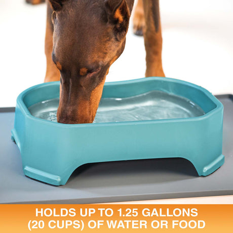 Big bowl holds up to 1.25 gallons or 20 cups of water or food