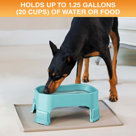 Big Bowl holds up to 1.25 gallons or 20 cups of water or food