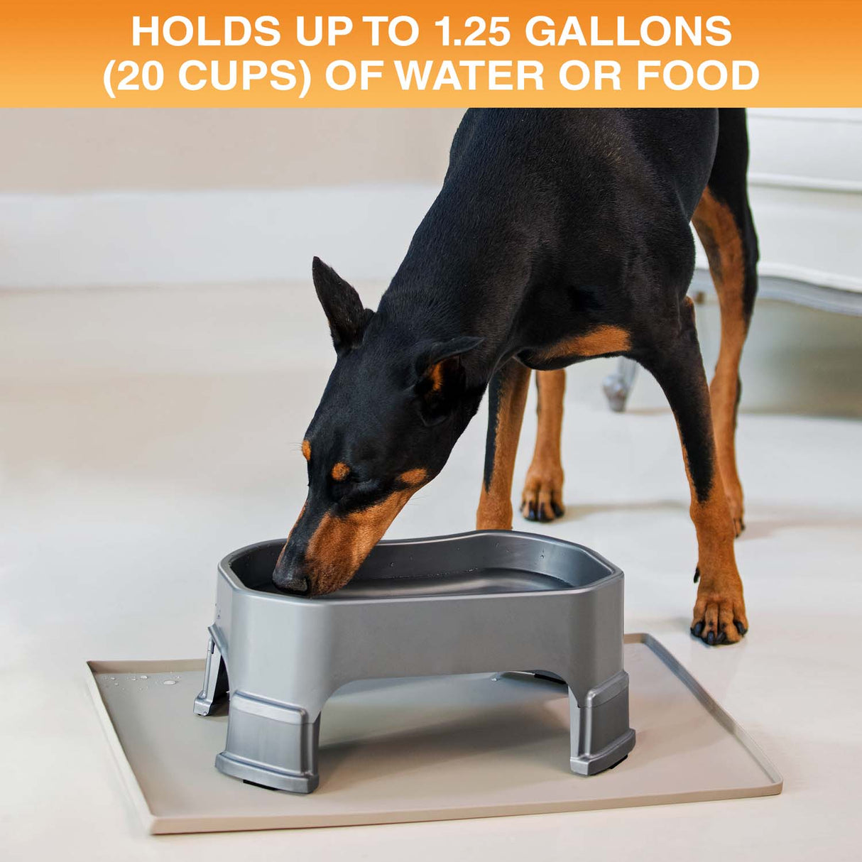 Big Bowl holds up to 1.25 gallons or 20 cups of water or food