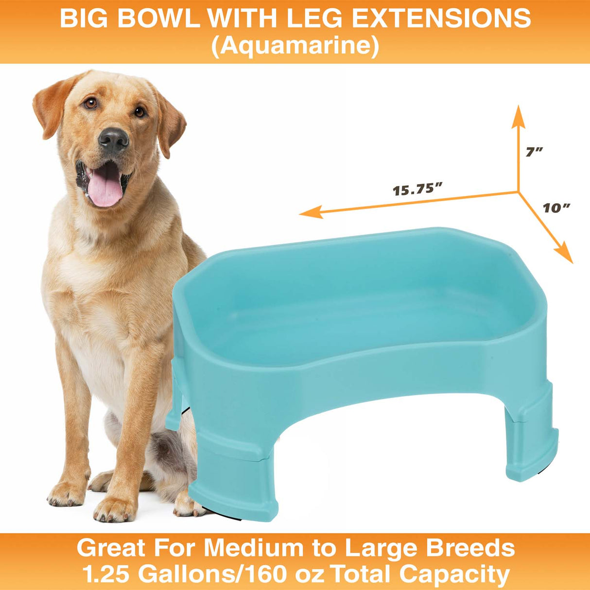 Big Bowl with Leg Extensions measures 15.75"L x 10"W x 7"H