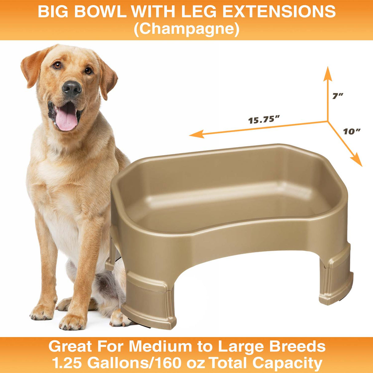 Big Bowl with Leg Extensions measures 15.75"L x 10"W x 7"H