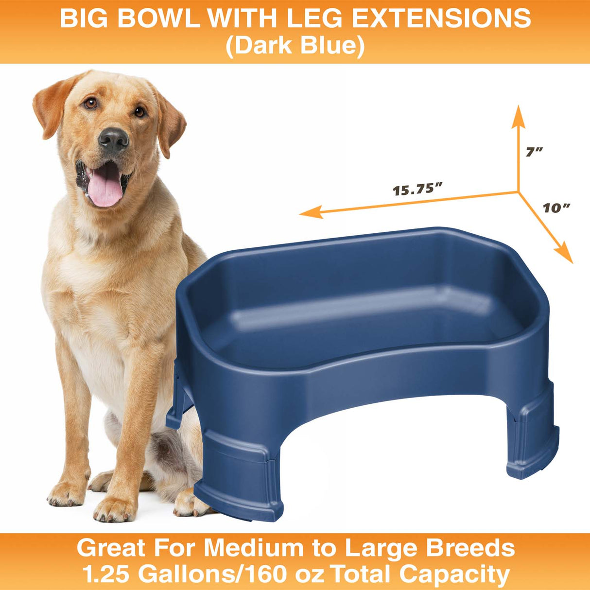 Big Bowl with Leg Extensions measures 15.75"L x 10"W x 7"H