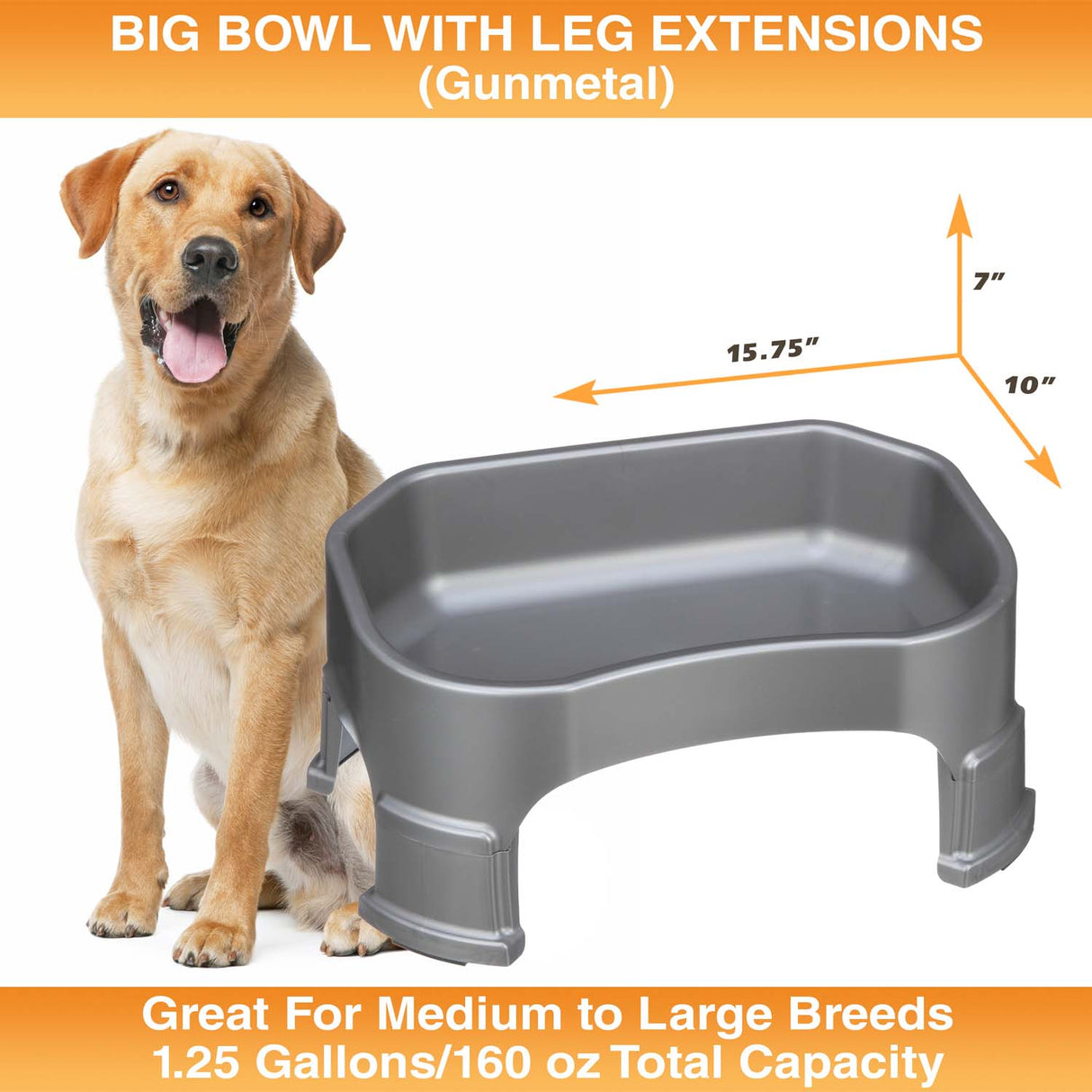 Big Bowl with Leg Extensions measures 15.75"L x 10"W x 7"H