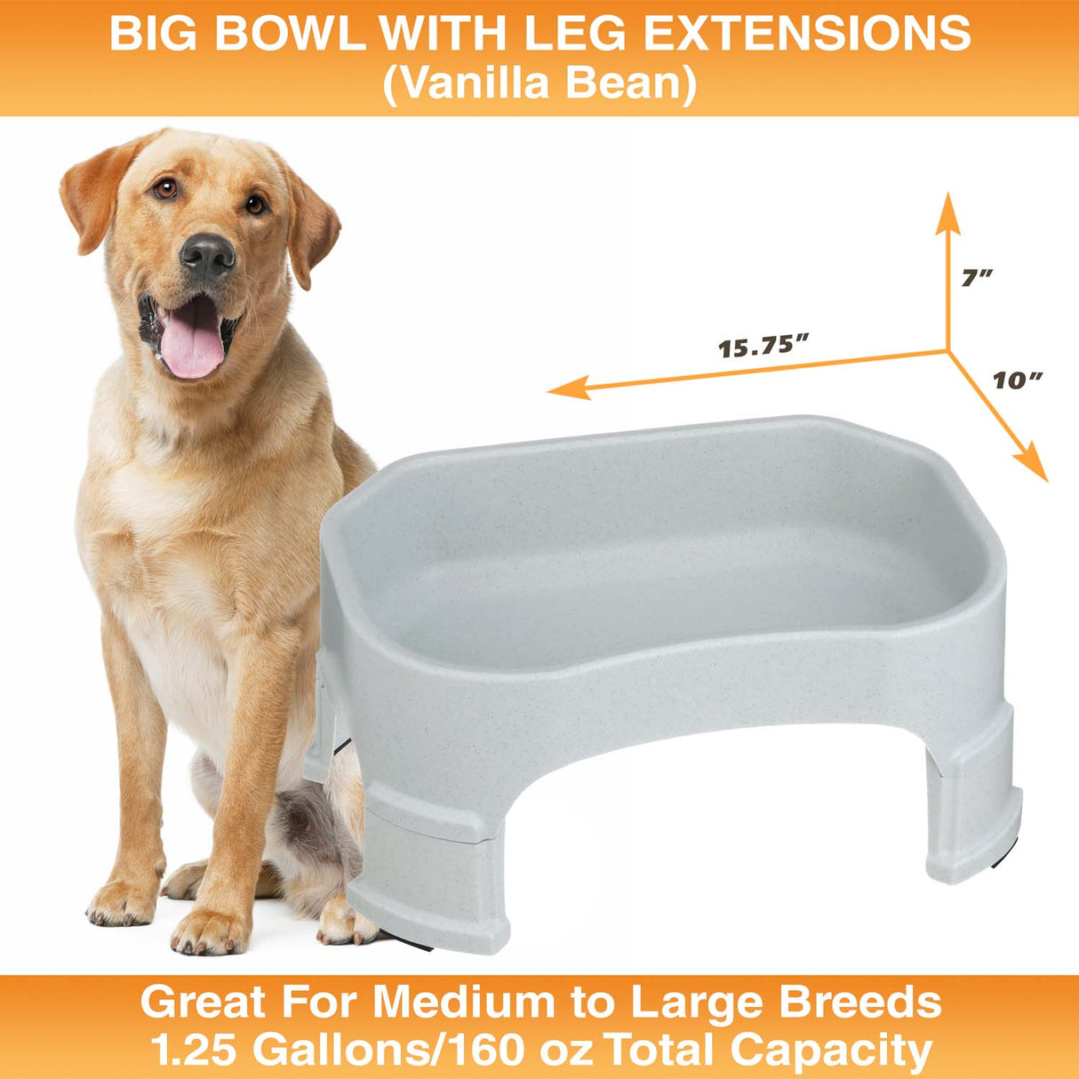 Big Bowl with Leg Extensions measures 15.75"L x 10"W x 7"H
