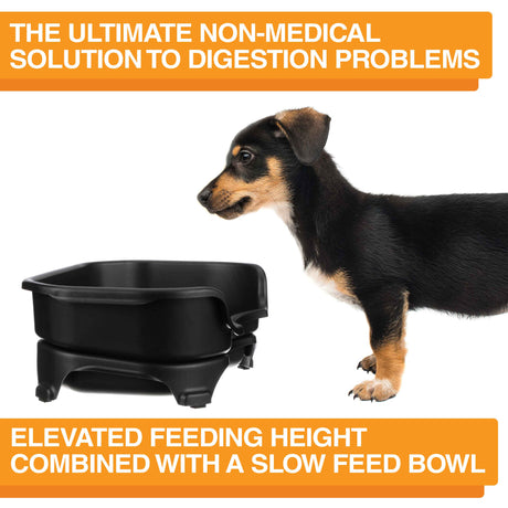 A picture of the Neater Feeder with a dog standing in front of it. The picture explains that the ultimate non-medical solution to digestion problems is elevated feeding combined with a slow feed bowl.