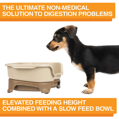 A picture of the Neater Feeder with a dog standing in front of it. The picture explains that the ultimate non-medical solution to digestion problems is elevated feeding combined with a slow feed bowl.