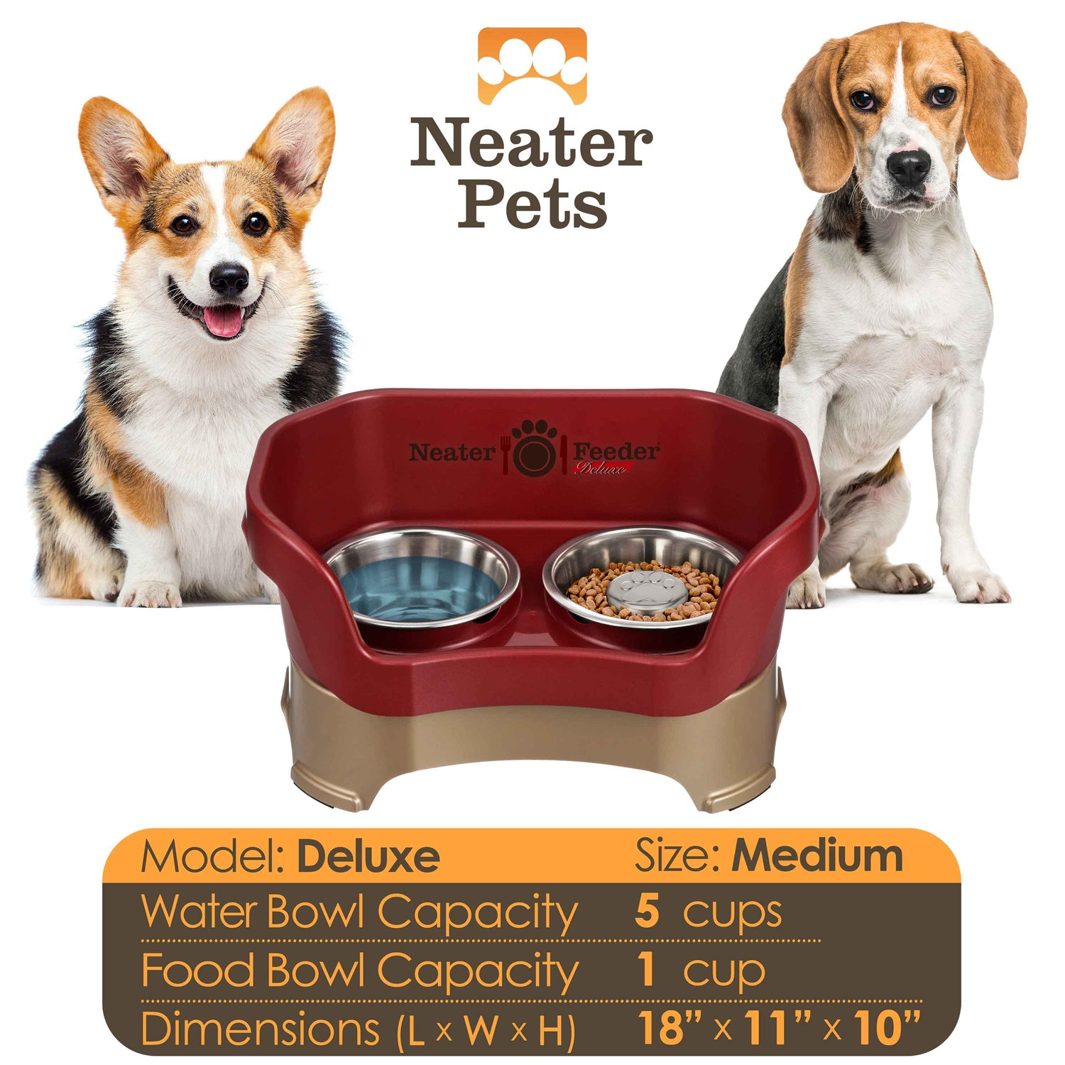 A chart displaying the Deluxe medium with Slow Feed bowl capacity and dimensions, with two medium-sized dog next to the chart.