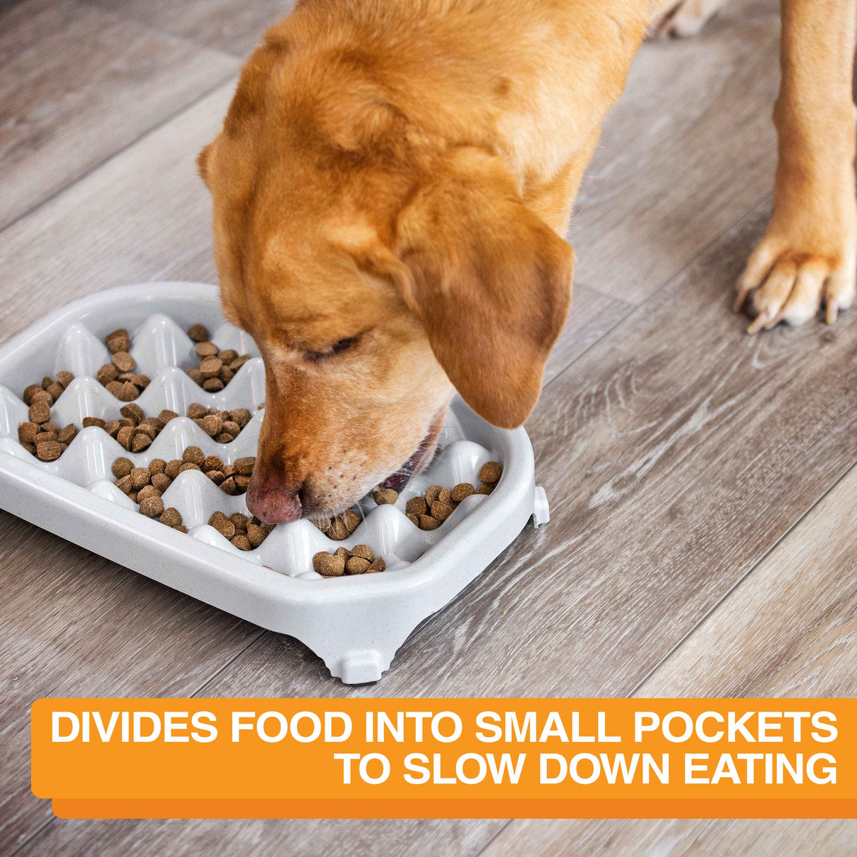 divides food into small pockets to slow down eating