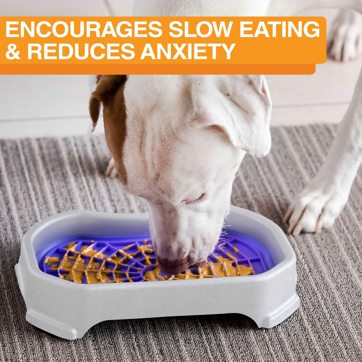 Dog licking peanut butter from the purple Neat-Lik Mat Slow Feed Licking Mat with text that reads "Encourages slow eating and reduces anxiety."