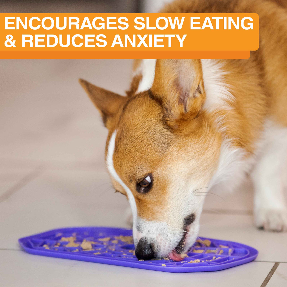 Dog licking peanut butter from the purple Neat-Lik Mat Slow Feed Licking Mat placed on the ground with text that says "encourages slow eating and reduces anxiety."