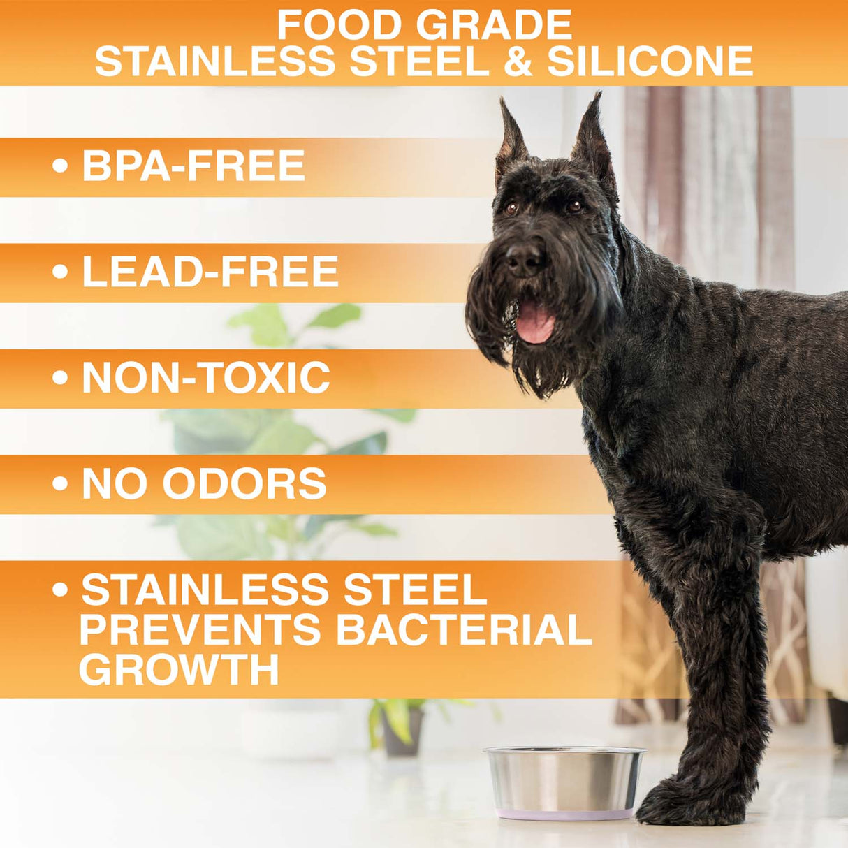 Dog standing next to a stainless steel bowl with product features listed on an orange background. Text on screen reads: BPA-free, Lead-free, non-toxic, no odors, stainless steel prevents bacterial growth.