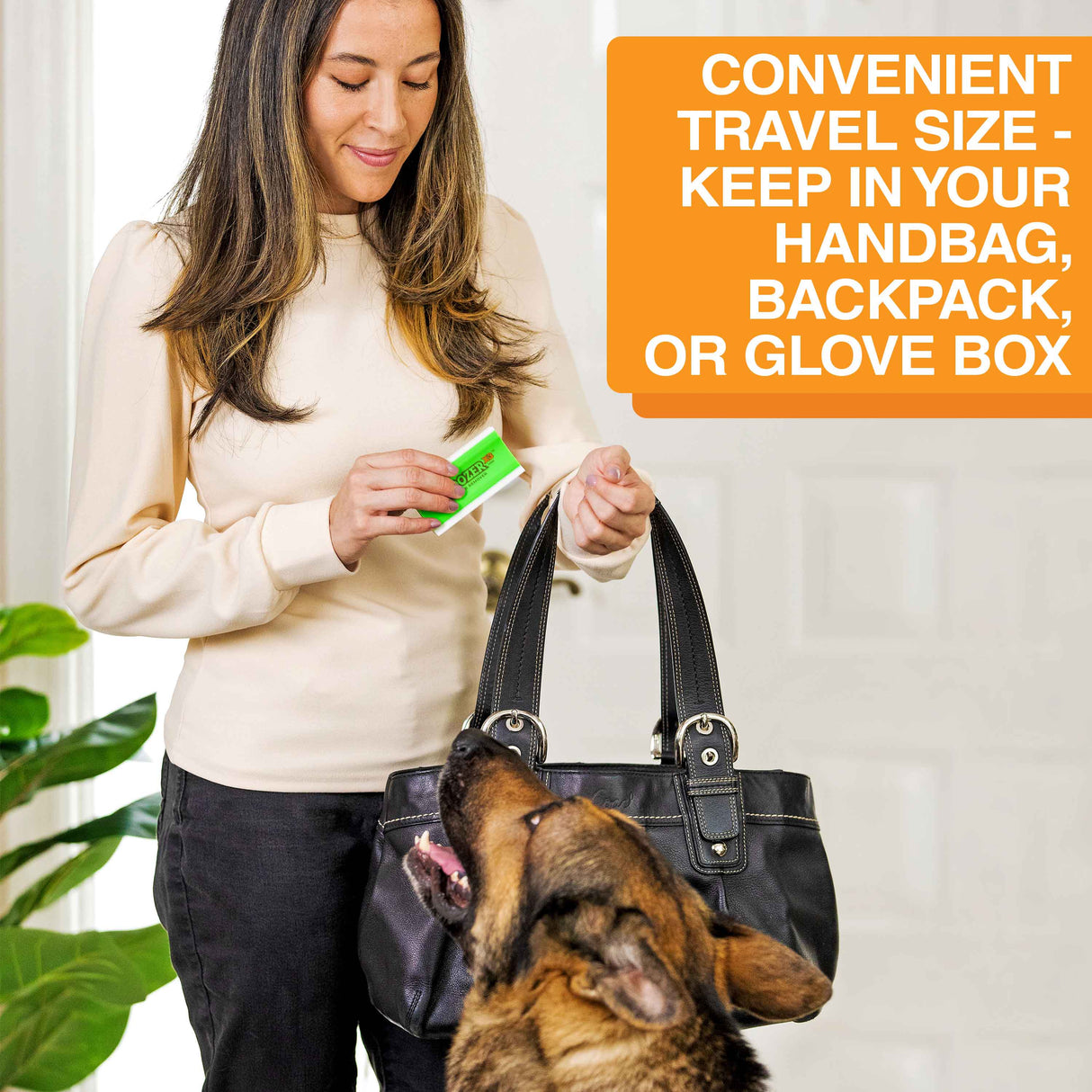 Woman placing her FurDoxer into her purse with a dog looking up at her. Text on screen reads: Convenient travel size - keep in your handbag, backpack, or glove box.