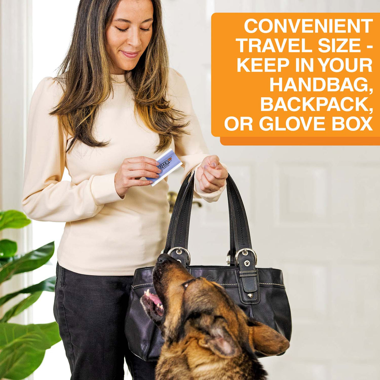Woman placing her FurDoxer into her purse with a dog looking up at her. Text on screen reads: Convenient travel size - keep in your handbag, backpackl, or glove box.
