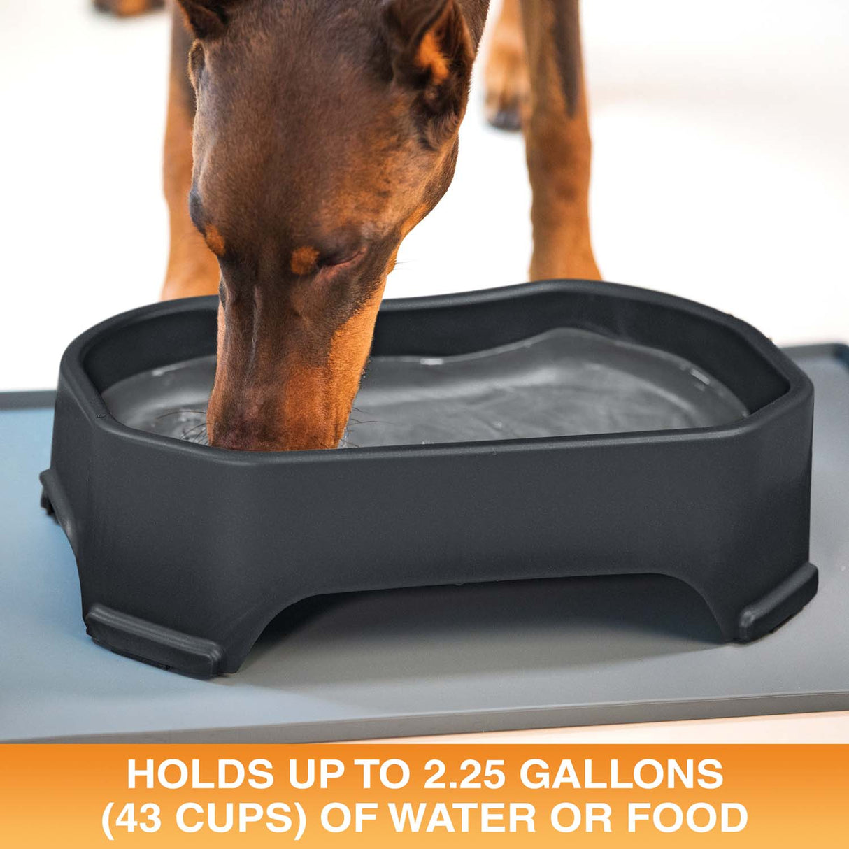 Giant Bowl holds up to 2.25 gallons or 43 cups of water or food