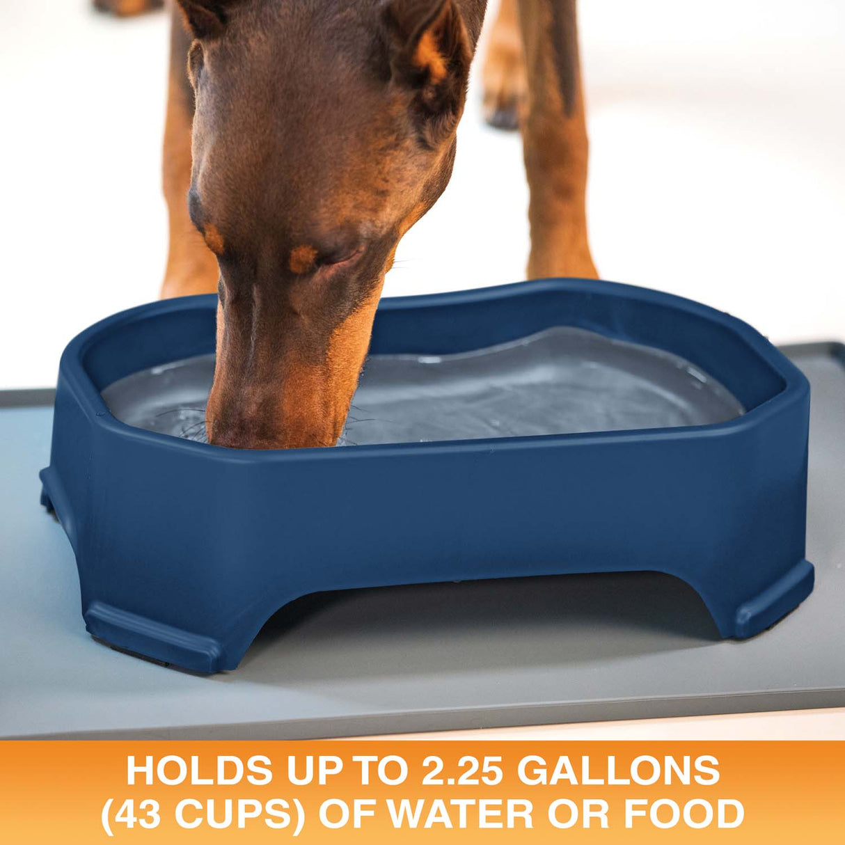 Giant Bowl holds up to 2.25 gallons or 43 cups of water or food