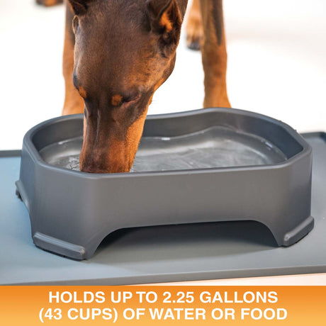Giant Bowl holds up to 2.25 gallons or 43 cups of water or food