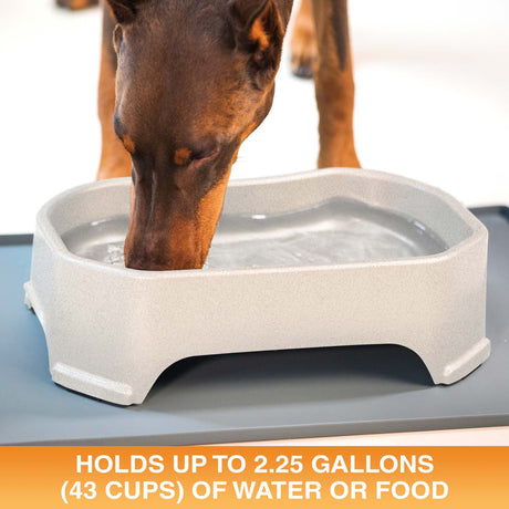 Giant Bowl holds up to 2.25 gallons or 43 cups of water or food
