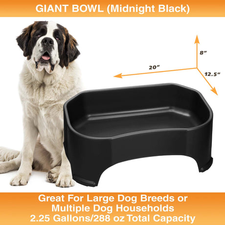 Giant Bowl measures 20"L x 12.5"W x 8"H