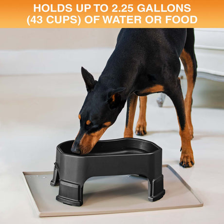 Giant Bowl holds up to 2.25 gallons or 43 cups of water or food