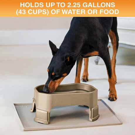 Giant Bowl holds up to 2.25 gallons or 43 cups of water or food