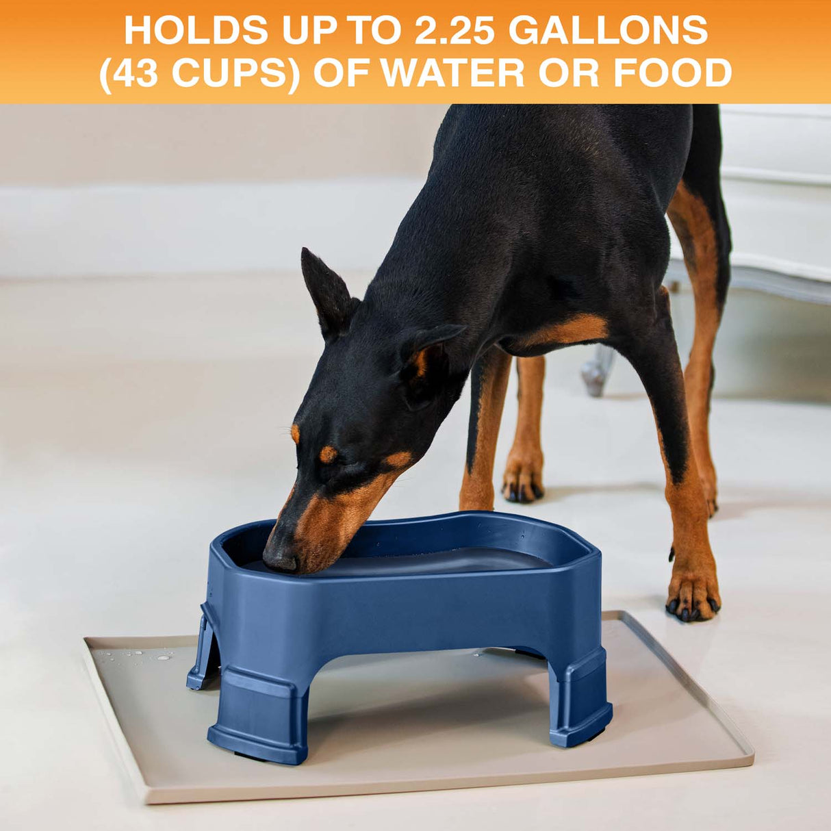 Giant Bowl holds up to 2.25 gallons or 43 cups of water or food