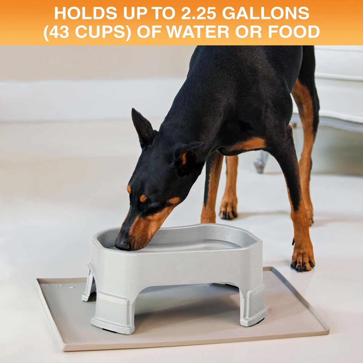 Giant Bowl holds up to 2.25 gallons or 43 cups of water or food