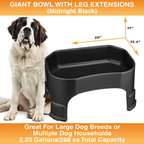 Giant Bowl with Leg Extensions measures 20"L x 12.5"W x 11"H
