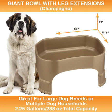 Giant Bowl with Leg Extensions measures 20"L x 12.5"W x 11"H