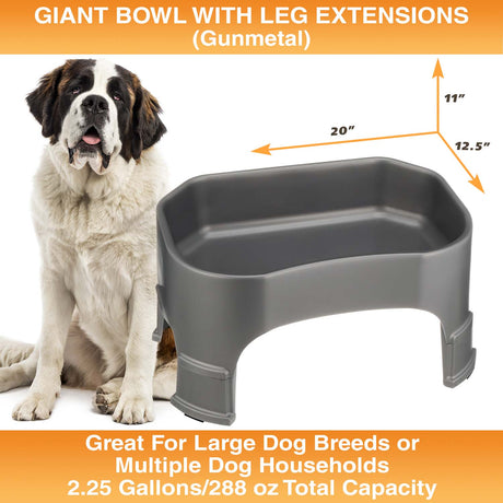 Giant Bowl with Leg Extensions measures 20"L x 12.5"W x 11"H