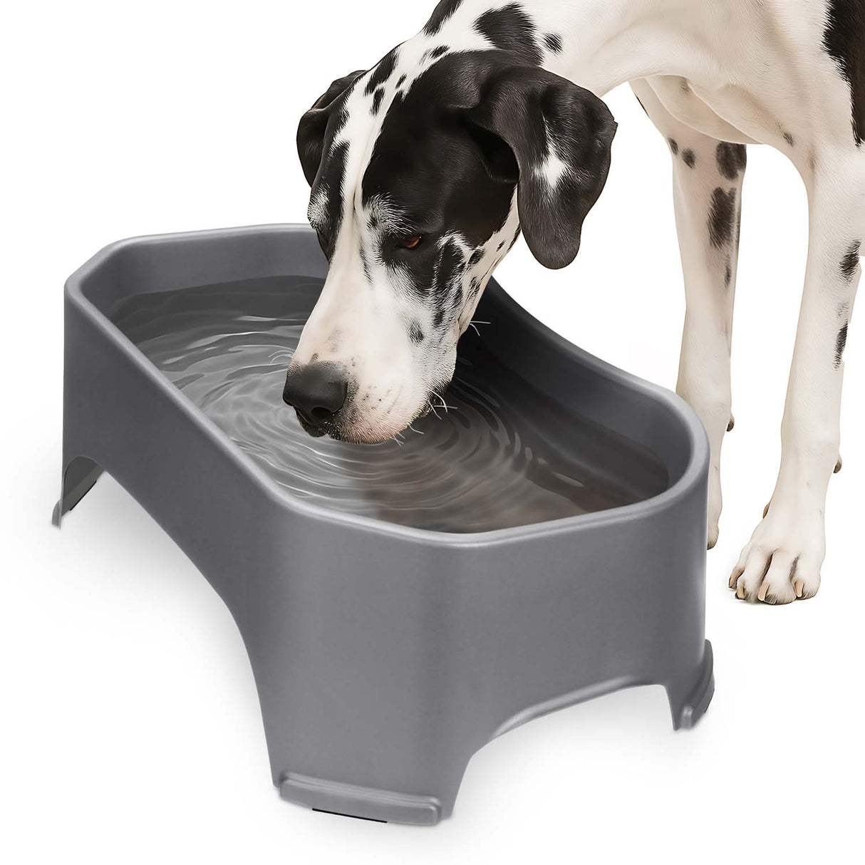 Great Dane drinking from Giant Bowl in Gunmetal