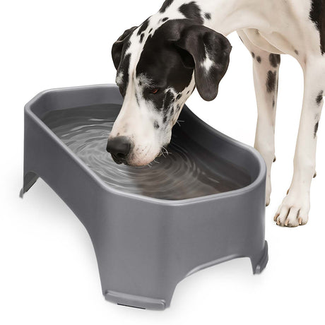 Great Dane drinking from Giant Bowl in Gunmetal
