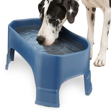 Great Dane drinking from the Giant Bowl with Leg Extensions in Dark Blue