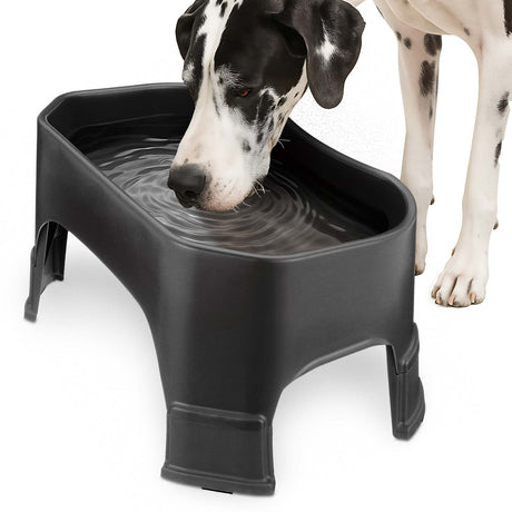 Great Dane drinking from the Giant Bowl with Leg Extensions in Midnight Black
