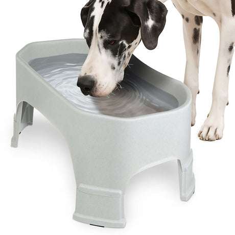 Great Dane drinking from the Giant Bowl with Leg Extensions in Vanilla Bean