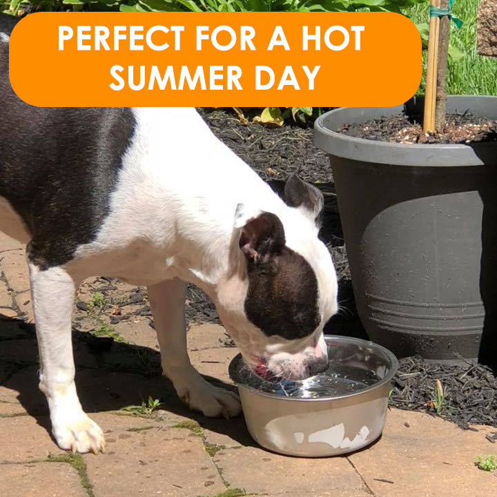 Polar Bowl is perfect for a hot summer day