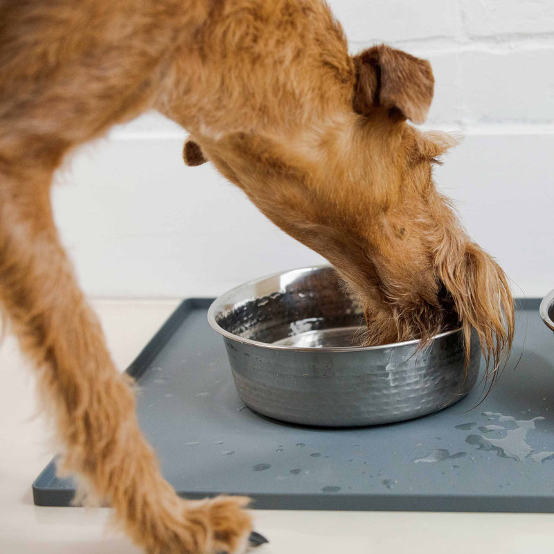 Dog splashing water all over the Neater Mat