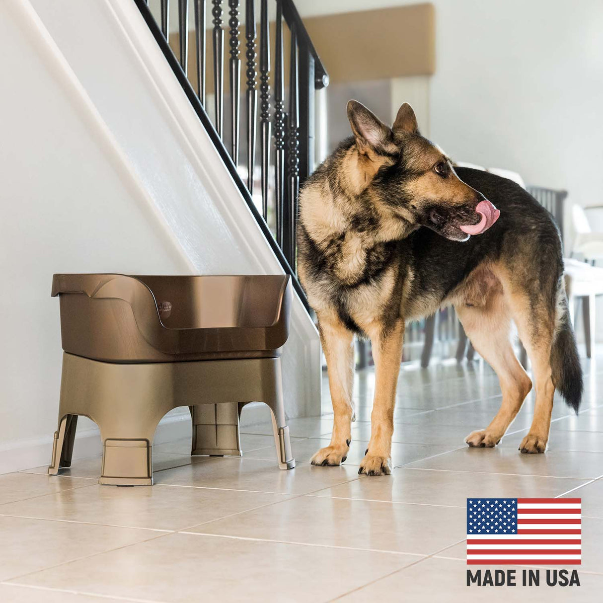 German Shepherd next to Bronze Neater Feeder Deluxe - Made in the USA