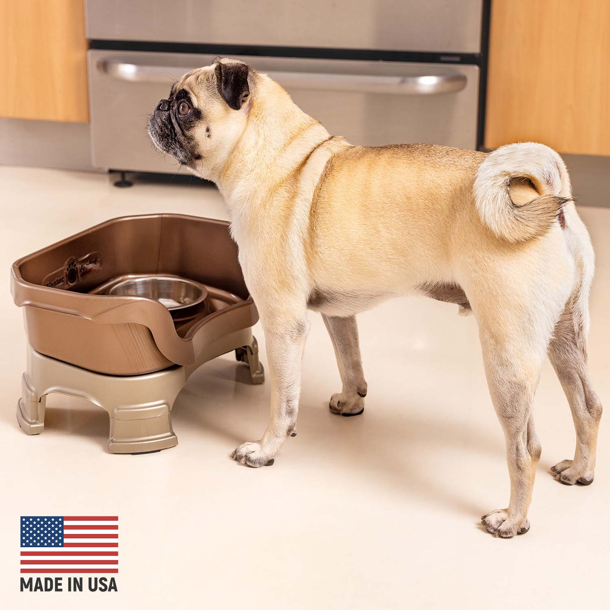 Pug next to Bronze Neater Feeder Deluxe - Made in the USA