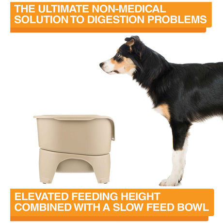 A picture of the Neater Feeder with a dog standing in front of it. The picture explains that the ultimate non-medical solution to digestion problems is elevated feeding combined with a slow feed bowl.