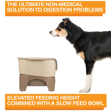 A picture of the Neater Feeder with a dog standing in front of it. The picture explains that the ultimate non-medical solution to digestion problems is elevated feeding combined with a slow feed bowl.