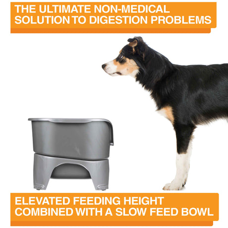 A picture of the Neater Feeder with a dog standing in front of it. The picture explains that the ultimate non-medical solution to digestion problems is elevated feeding combined with a slow feed bowl.